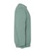 Sweat Jaya Adulte Vert Foncé Roly-4