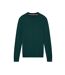 Pull Manches Longues Homme Vert Ted Baker-1