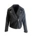 Womens/ladies Asymmetric Regular Biker Jacket Black Kangol-1