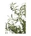 Plante Artificielle en Pot Olivier 180cm Vert-2