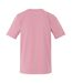 T-shirt homme les lilas Regatta-2