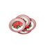 Lot de 6 Assiettes en Carton Poinsettia 18cm Rouge-1