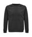 SOLS Unisex Adult Space Raglan Sweatshirt (Charcoal Marl) - UTPC4314