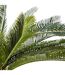 Plante Artificielle Ananas 72cm Vert-2