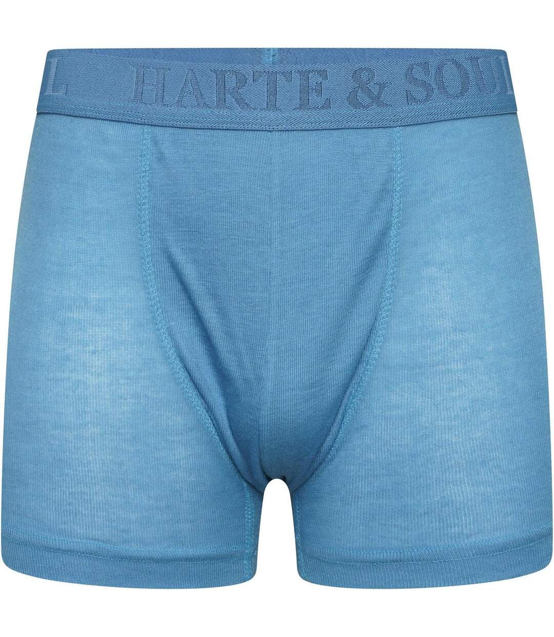 Pack Of 12  Mens Plain Bamboo Boxer Shorts  Multicoloured Harte & Soul-4