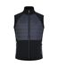 Dare 2B Mens Descending Vest (Black/Ebony)