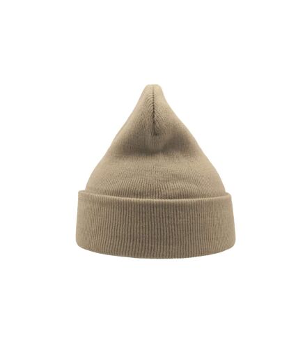 Atlantis Wind Double Skin Beanie With Turn Up (Beige)