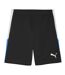 Mens Individualliga Football Shorts Black White Puma-1