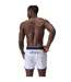 Mens Jetstream Volley Retro Logo Swim Shorts White Speedo-3