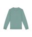 Sweat adulte jade Native Spirit-1