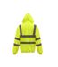 Yoko Mens Hi-Vis Full Zip Hoodie (Yellow) - UTBC5590