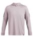 Mens Regular Hoodie Grey Under Armour-2