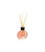 Diffuseur de Parfum & 6 Bâtonnets Haly 50ml Framboise-1