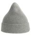 Unisex adult andy recycled polyester beanie light grey melange Atlantis-2