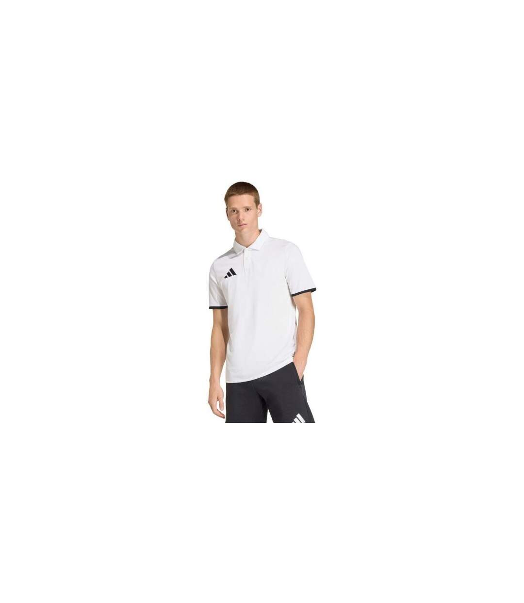 Polo Entrada Homme Blanc Adidas-1