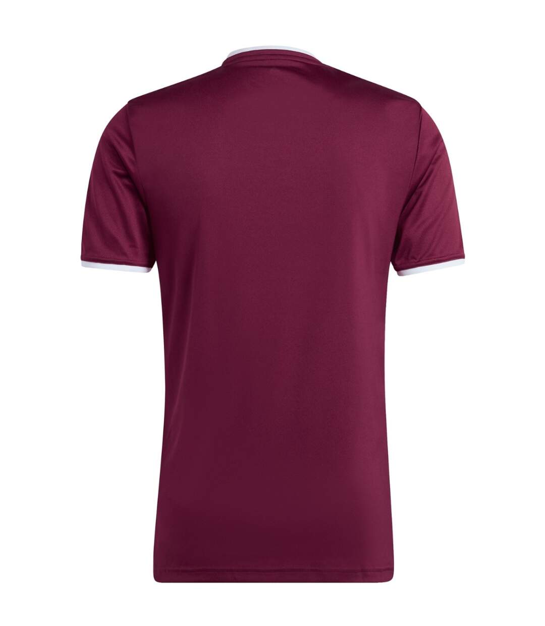T-shirt Entrada Homme Bordeaux Foncé Adidas-3