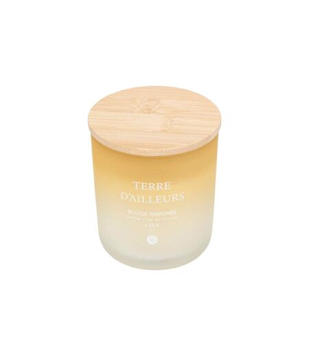 Bougie Parfumée en Verre Sana 255g Terre d'Ailleurs