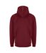 PRO RTX Mens Pro Hoodie (Burgundy) - UTPC3538-2