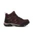 Regatta Womens/Ladies Holcombe IEP Mid Hiking Boots (Steel/Vivacious) - UTRG3705