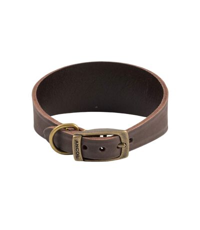 Timberwolf hound leather dog collar 34cm 43cm sable Ancol