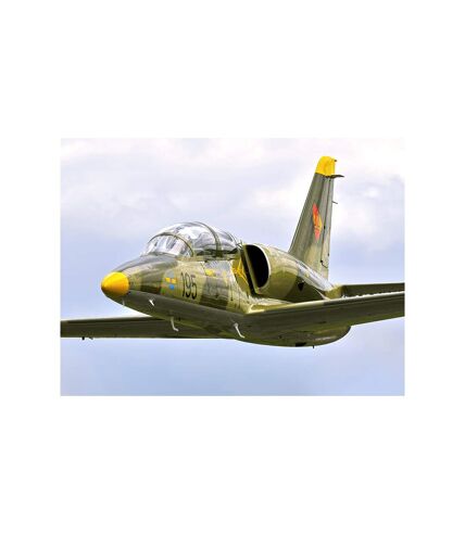 Pilote d'un jour en Allemagne : formation et vol en avion de chasse L-39 Albatros - SMARTBOX - Coffret Cadeau Sport & Aventure