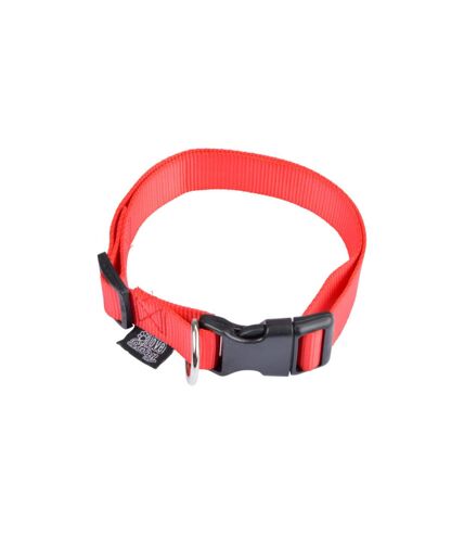 Collier Réglable pour Chien Essentiel 65cm Rouge