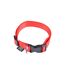 Collier Réglable pour Chien Essentiel 65cm Rouge