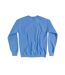 Sweat The Story Of The Curious Oysters Adulte Bleu Alice In Wonderland-2