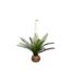 Plante Artificielle Palmier Cuba 55cm Vert-1