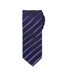 Premier - Cravate - Homme (Bleu marine / Violet) () - UTPC6126