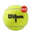 Balles De Tennis Roland Garros Taille Unique Jaune Wilson-1