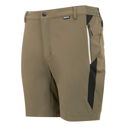 Short mountain homme marron / noir Regatta