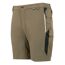 Short mountain homme marron / noir Regatta-3