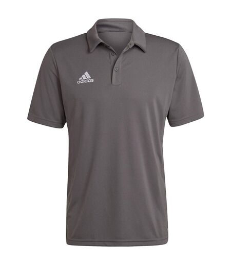 Polo Entrada Homme Gris Argenté Adidas
