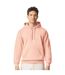 Sweat À Capuche Adulte Vieux Rose Gildan-3
