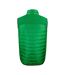 Mens Expedition Gilet Fresh Green Printer-2