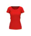 Womens/ladies Claire Round Neck T-shirt Scarlet Red Stedman-2