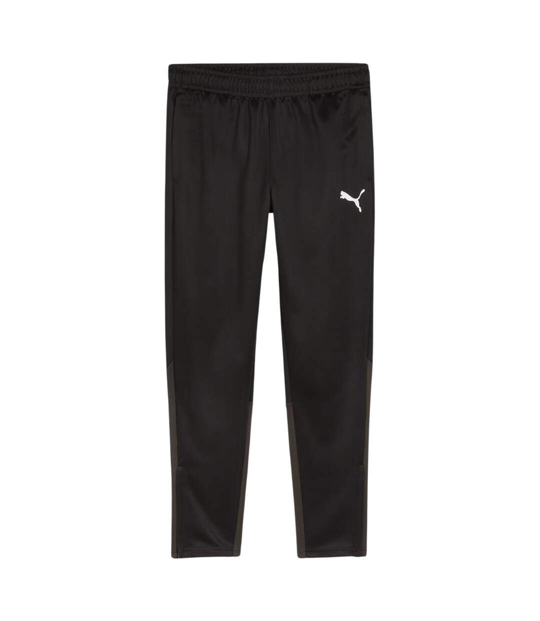 Mens Team Goal Training Jogging Bottoms Black Puma-2