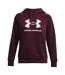 Sweat À Capuche Entraînement Style Gros Logo Rival Homme Pourpre Under Armour-2