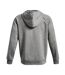 Veste À Capuche Sportstyle Rival Homme Gris Under Armour-3