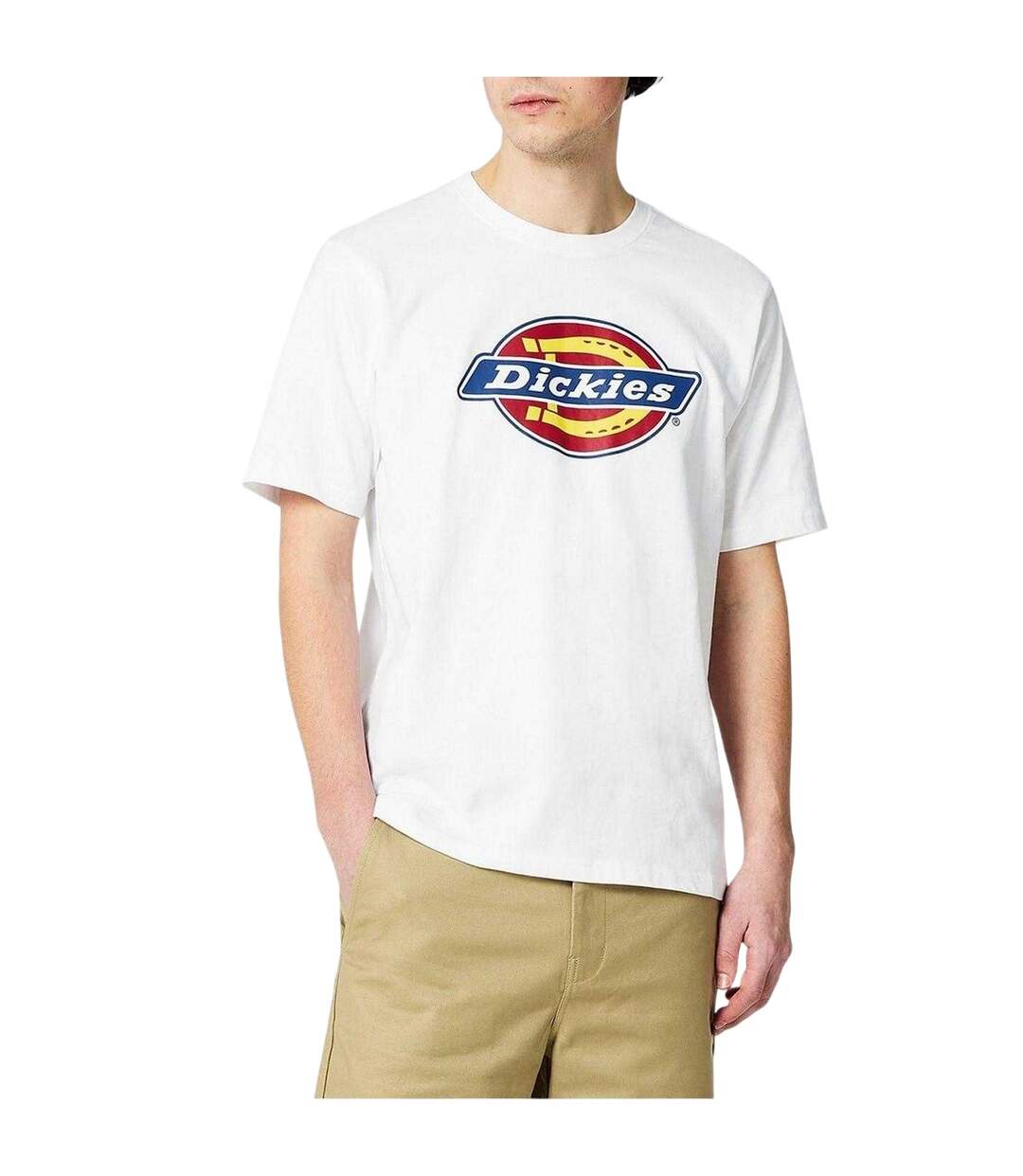T-shirt Motif/style Icône Homme Blanc Dickies-3