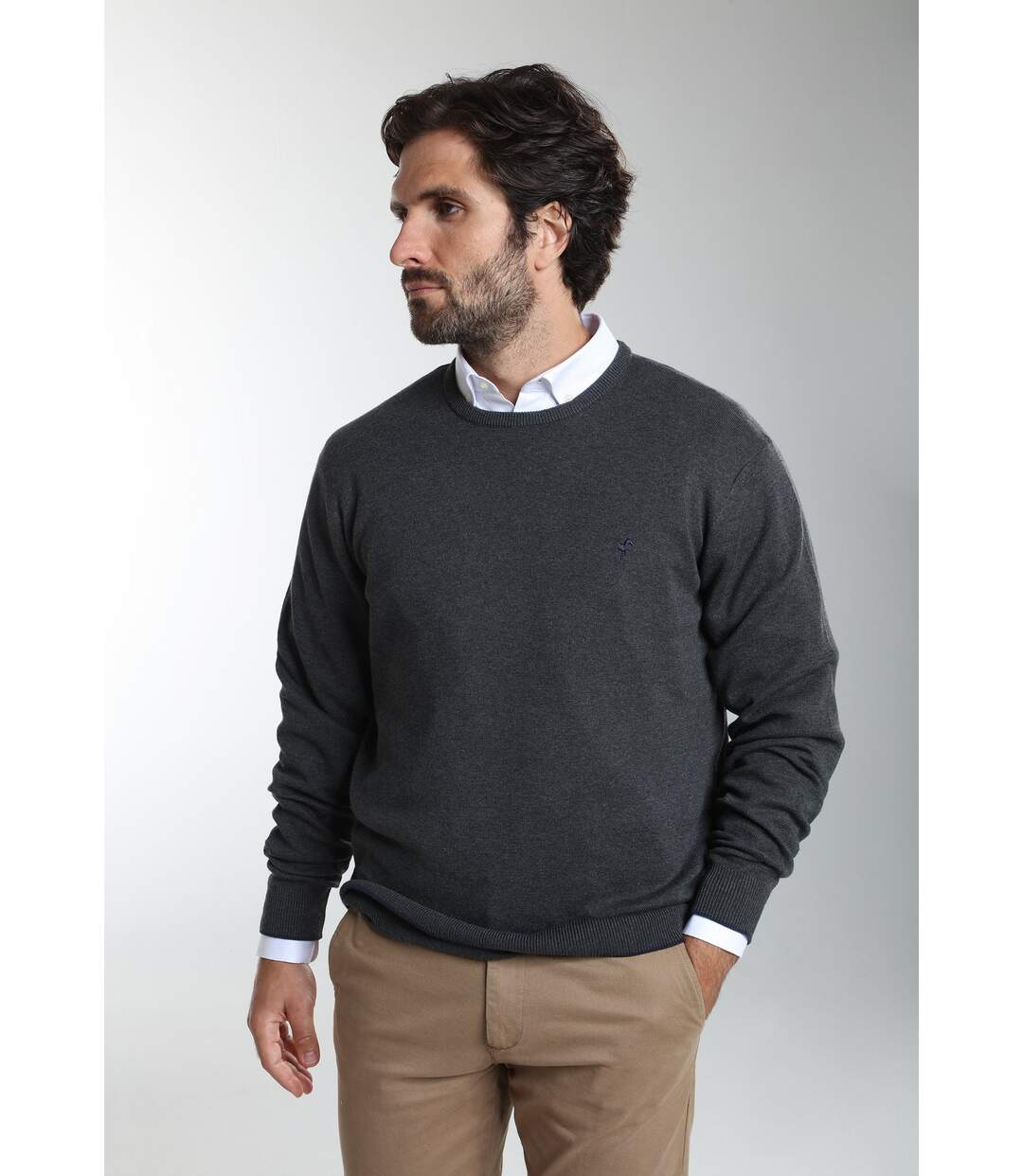 Pull col rond  en coton MAXENCE-2