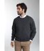 Pull col rond  en coton MAXENCE-2