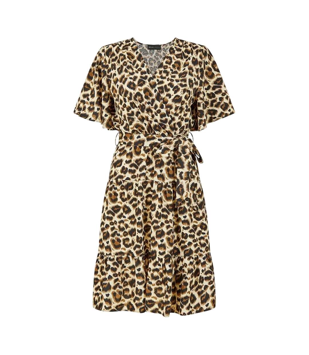 Womens/ladies Leopard Print V Neck Skater Dress Brown Mela London-1