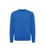 Unisex adult etosha recycled cotton lightweight sweatshirt royal blue Iqoniq-1