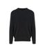 AWDis Ecologie Adults Unisex Taroko Regen Sweater (Black)
