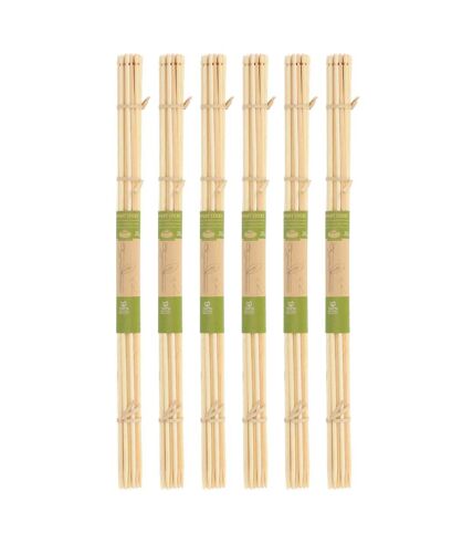 Tuteur en bambou pour plantes 50 cm (Lot de 100)