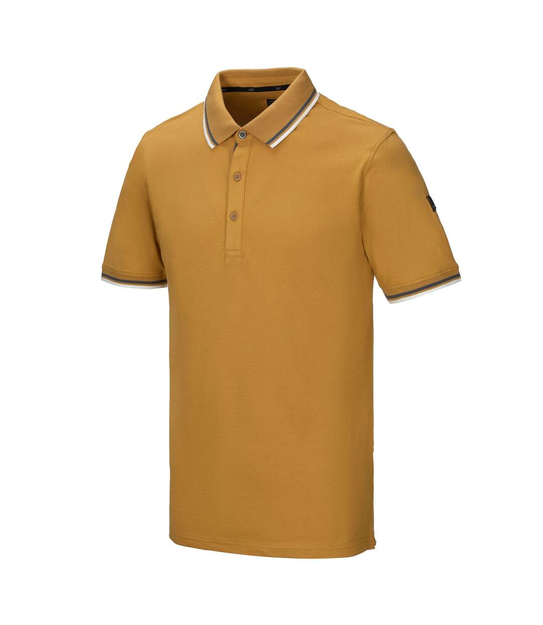 Polo Adryan Homme Marron Bois Regatta-4