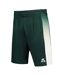Short de sport vert homme le coq sportif tennis pro n°2-1
