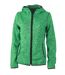 Veste tricot polaire à capuche FEMME- JN588 - vert clair chiné